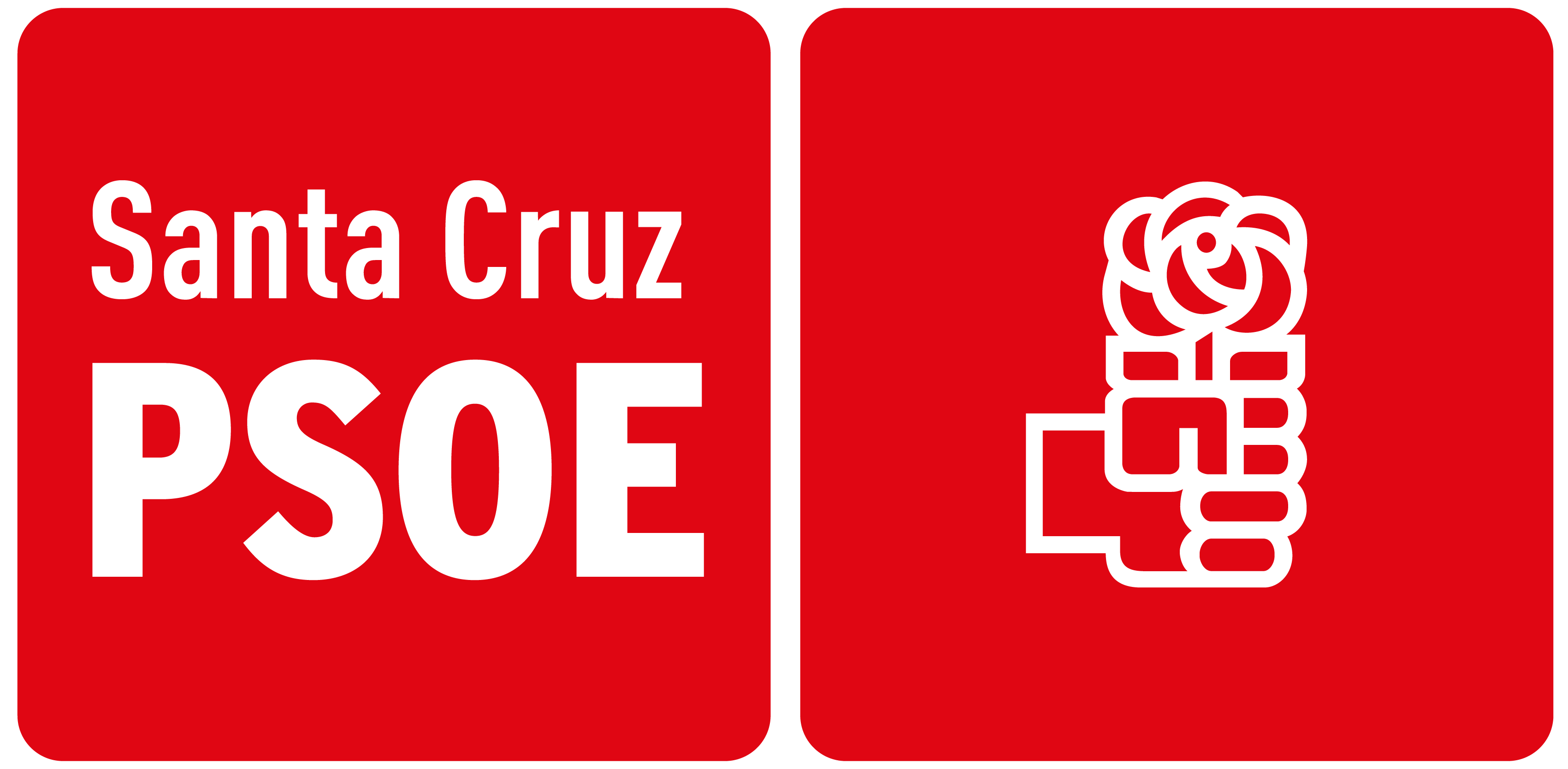 Santa Cruz PSOE